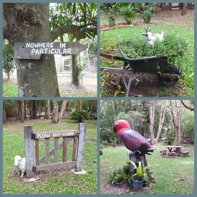 Parrots in Paradise Sanctuary garden