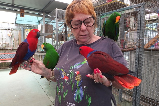 Volunteers at Parrots in Paradise Sanctuary