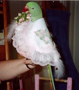 Tribute photo 6