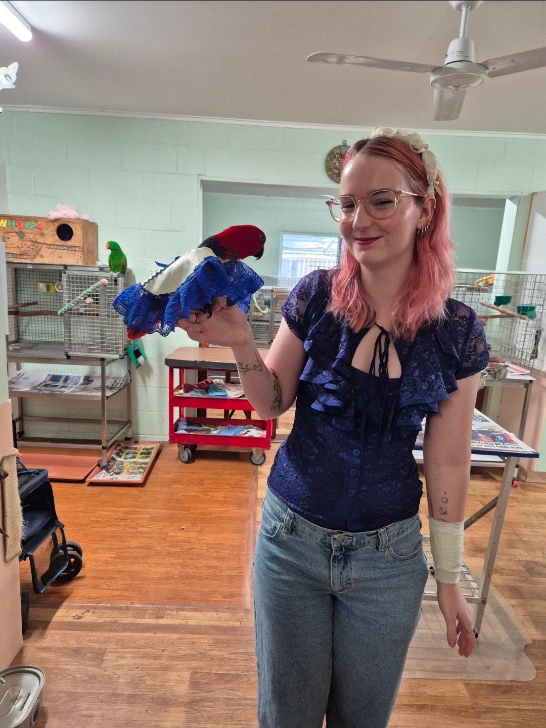 Lucky the female eclectus parrot